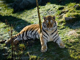 Jihočeská zoologická zahrada Hluboká