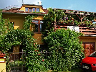 Pension U Lesa